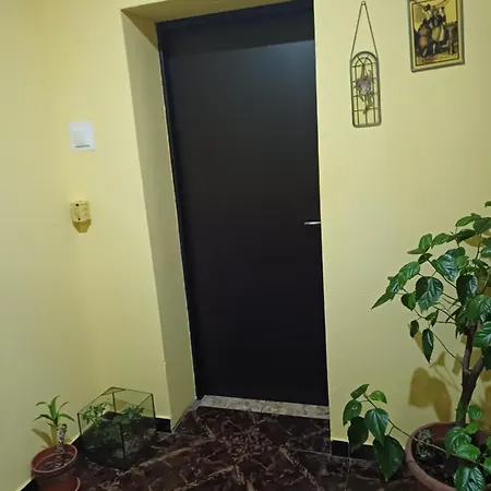 Garsoniera La Casa Elena Timisoara