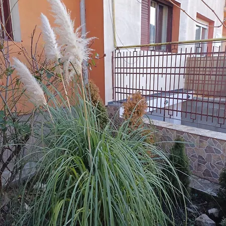 Garsoniera La Casa Elena *