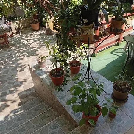 Garsoniera La Casa Elena Appartamento Timisoara