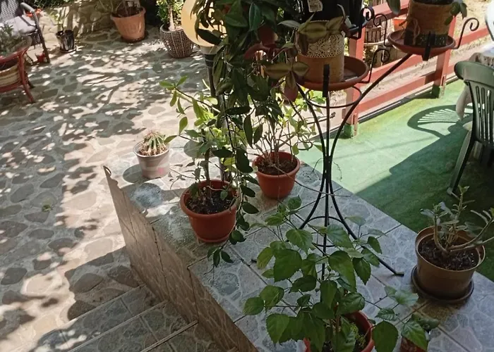 Garsoniera Cu Bucatarie Clara, Iulius Mall Lägenhet Timişoara