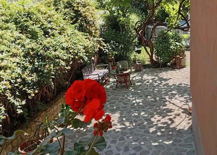 Garsoniera Cu Bucatarie Clara, Iulius Mall * Timişoara